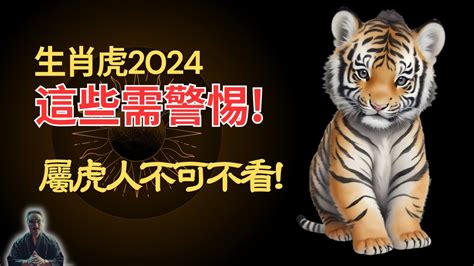 屬虎本月運勢|屬虎人2024年總運勢，屬虎人的愛情，事業運勢，屬虎人2024年。